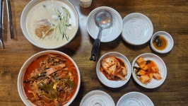 양주 애정맛집 막줄래국시 콩국수와 육칼