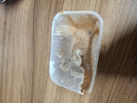 CU 신상 햄버거 완식후기