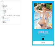 미쳐버린 나무위키