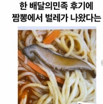 배민 짬뽕 벌레 나왔다는 후기