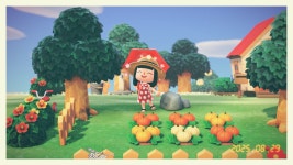 질문 만약에 게임용 PC를 한 대 장만한다면