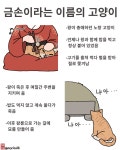 주인을 따라 죽은 고양이 이야기