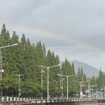 이 정도의 가치가 있나 싶지만... | 퍼즐 앤 드래곤 이 정도의 가치가 있나 싶지만... | 퍼즐 앤 드래곤 | 루리웹