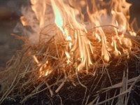 개쩌는 짚불삼겹살.gif | 유머 게시판 개쩌는 짚불삼겹살.gif | 유머 게시판 | 루리웹