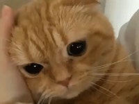 쓰담쓰담
