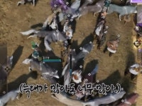 TL 베타시절 동물변신 대참사.gif | 유머 게시판 TL 베타시절 동물변신 대참사.gif | 유머 게시판 | 루리웹
