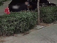 [단독] 이재명 습격범, 범행장소 10분 거리 모텔에 머물렀다... CCTV... 10분 거리 모텔에 머물렀다... CCTV 보니 | 사회/정치/경제 정보 | 루리웹