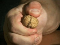 여자친구: 오빠 저 호두까먹는 아저씨가 나 보고 욕했어!! | 유머 게시판 여자친구: 오빠 저 호두까먹는 아저씨가 나 보고 욕했어!! | 유머 게시판... 