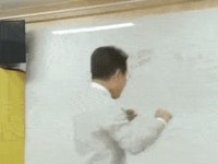 거북섬은 또 뭐야