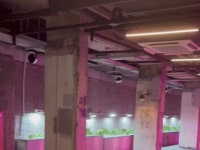 남부터미널 근황