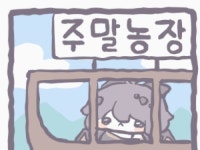 강릉사는 동생 단수됬다고 난리네