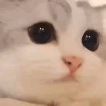 이전 경기보다가 엄청 잼난다