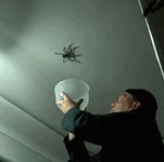 집안에 들어온 거미 잡는 짤gif