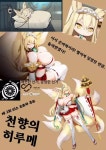 천향의 히루메 제 2회 미스 오르카 결선 2차 선거 공보