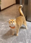 중천 소감
