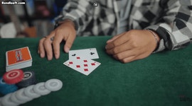 올인이다냥 | 유머 게시판 | RULIWEB 올인이다냥 | 유머 게시판 | 루리웹