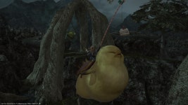 [FF14] 요괴워치 콜라보와 뚱보 모그리 | 게임 스샷 게시판 [FF14] 요괴워치 콜라보와 뚱보 모그리 | 게임 스샷 게시판 | 루리웹