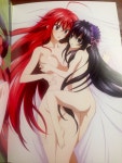 하이스쿨 dxd born 비쥬얼 콜렉션