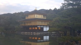 스압 오사카도쿄 7일간 생애 첫 해외여행