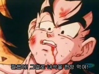 드래곤볼Z크리링과 손오반의 협동공격