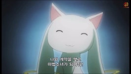 마법소녀 마도카 마기카로 솔직한 애니 리뷰