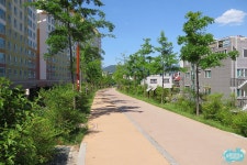 많이 변한 대구 동촌