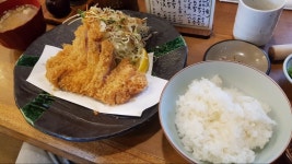 일본 돈까스 맛집 나리쿠라 톤타 히나타