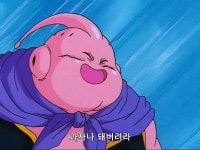 드래곤볼Z베지터vs마인부우