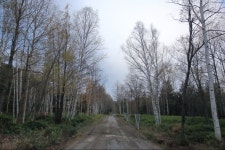 가을의 홋카이도를 느끼며 도북 지방 여행기 4일차