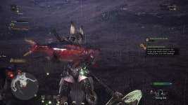 가이드 낚시에 대한 모든것 몬스터 피셔 월드