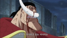 원피스흰수염 사망