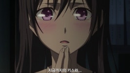 시트러스