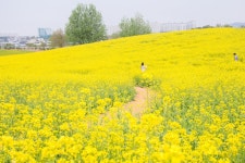 6000 안성휴게소 우동 55000 매운 갈비찜 대짜