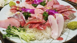 [안산 고잔동][맛보기] 참치 한접시 - 대림참치 | 음식 갤러리 [안산 고잔동][맛보기] 참치 한접시 - 대림참치 | 음식 갤러리 | 루리웹