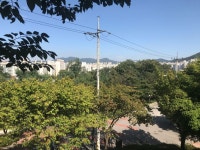 걸어서 안양시 12개 성당 투어