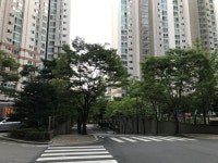 걸어서 안양시 12개 성당 투어