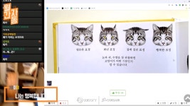 늘 행복한 표정을 짓는 스트리머의 고양이jpg