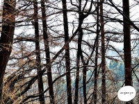 오늘 가평 상지로 드라이브를 했습니다.(+ 대성리역 건너편) | 자동차 갤러리 오늘 가평 상지로 드라이브를 했습니다.(+ 대성리역 건너편) | 자동차... 