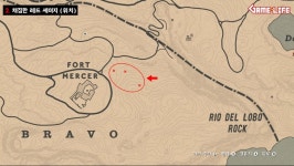 영상 오늘의 도전 라즈베리 올빼미 위치 입니다 D