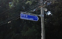 대한민국에서 가장 많은 실종사건이 나온 길 | 유머 게시판 | RULIWEB 대한민국에서 가장 많은 실종사건이 나온 길 | 유머 게시판 | 루리웹