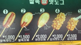 혜화역 쌀똑핫도그 쌀똑모짜