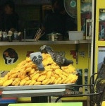 비둘기밥으로 유명한 중평떡볶이 본점