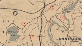 RDO 윈터그린 베리 위치