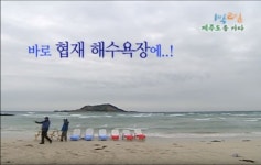 1박2일 나PD 왜 이래 아마추어 같이