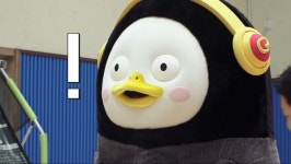 펭수 짤모음48장