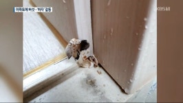 진주 버섯 아파트