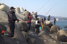 방파제 낚시는 바다 낚시하다보면 흔하게 접하지