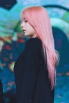 핑크머리 보나