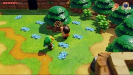 젤다의 전설 꿈꾸는 섬 3