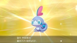 1821번째 이로치 뽑기완료 스타팅몬